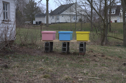 apiary