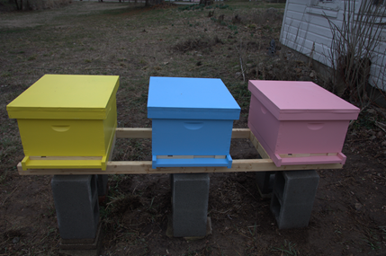 hives